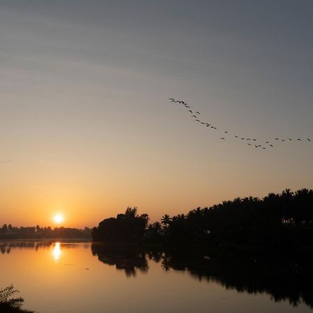 Stayvista At Golden Triangle Kabini With Bonfire, River View & Comp Beakfast Hampapura Екстер'єр фото
